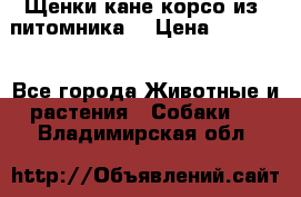 Щенки кане корсо из  питомника! › Цена ­ 65 000 - Все города Животные и растения » Собаки   . Владимирская обл.